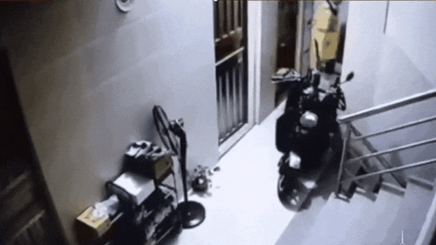 640 (2).gif