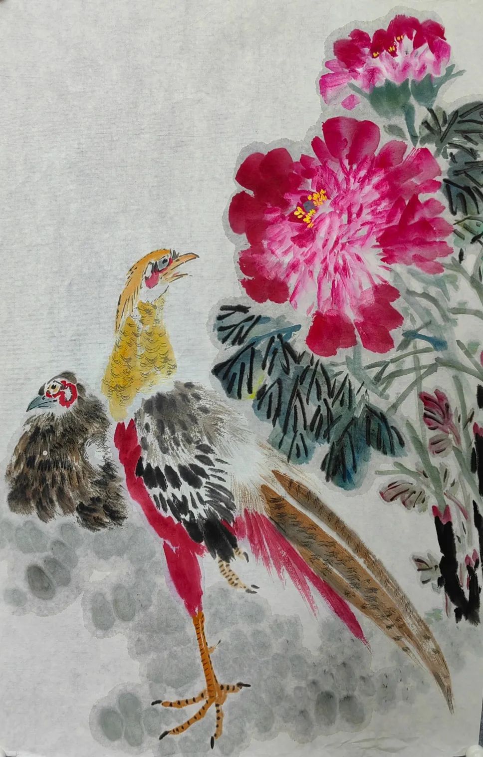 图片